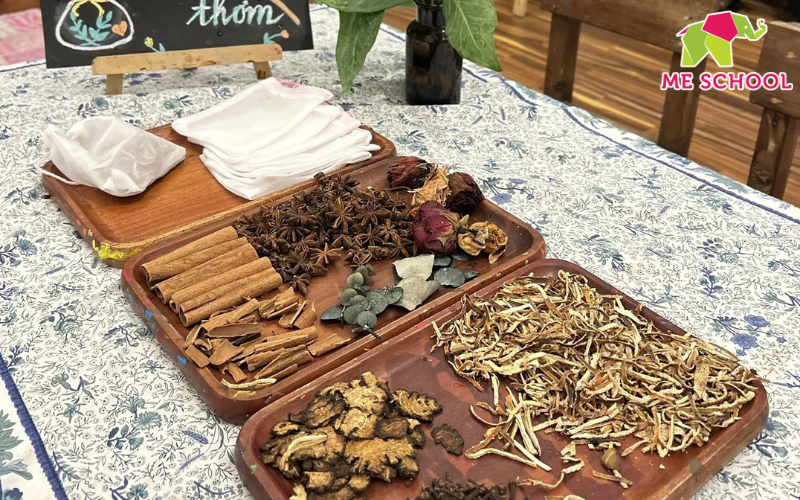 phát triển giác quan cho trẻ