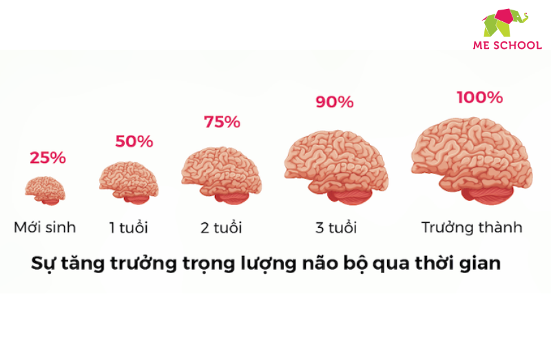 Giáo dục sớm cho trẻ sơ sinh