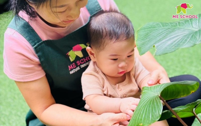 Giáo dục sớm cho trẻ sơ sinh