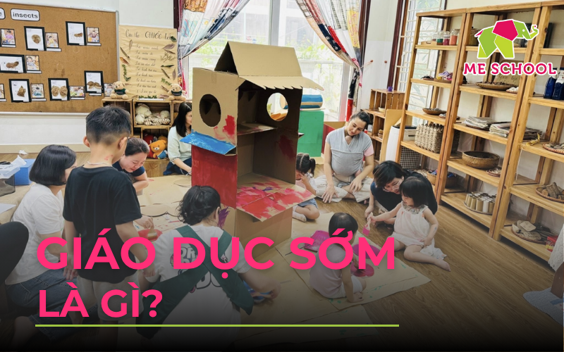 giáo dục sớm là gì