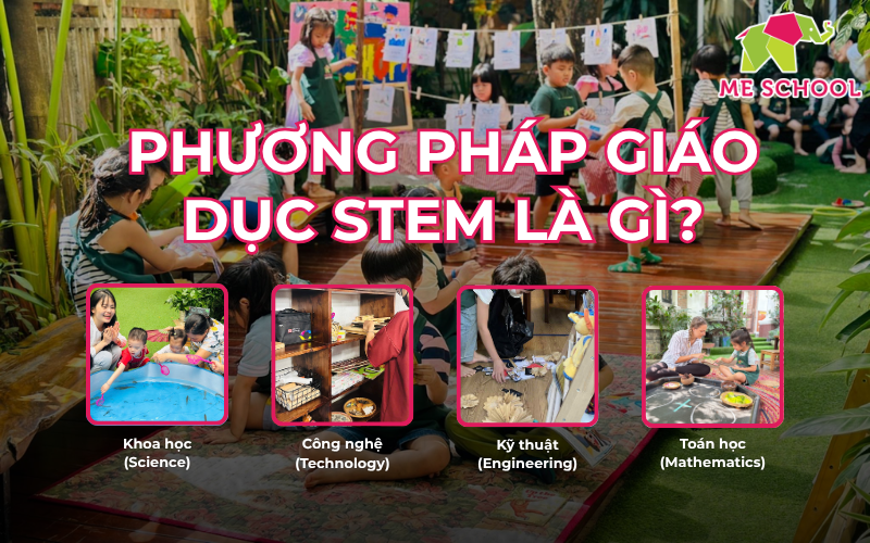 stem mầm non