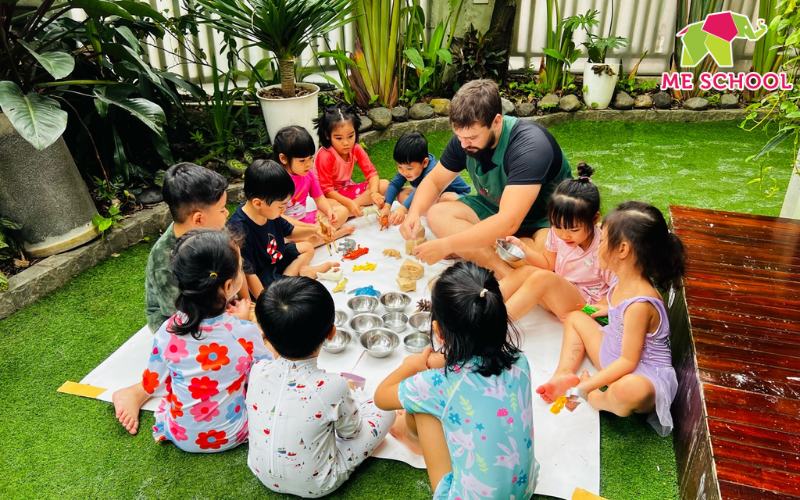 stem mầm non