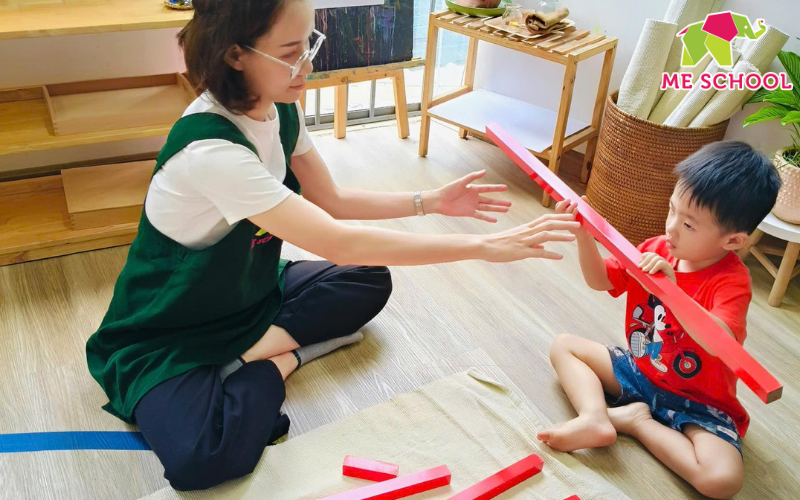 stem mầm non