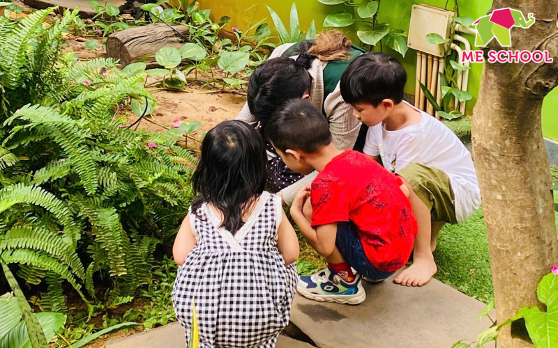 giáo dục thẩm mỹ