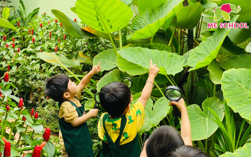 giáo dục thẩm mỹ