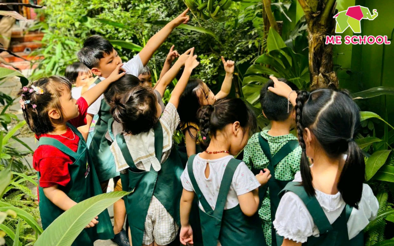 thuyết đa trí tuệ của howard gardner