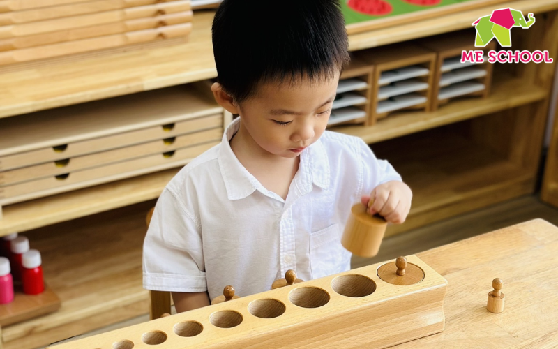 thuyết đa trí tuệ của howard gardner
