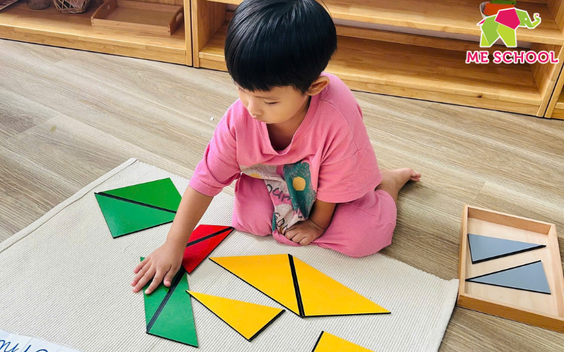 thuyết đa trí tuệ của howard gardner