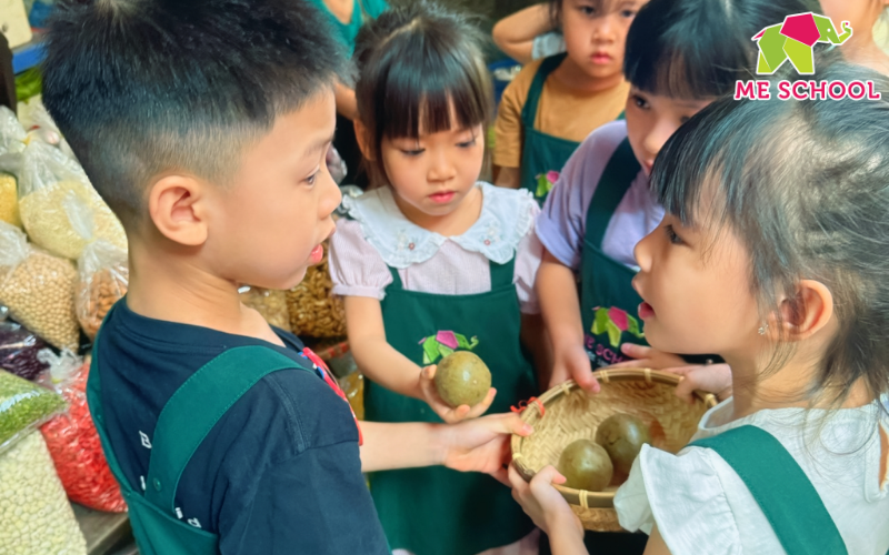 thuyết đa trí tuệ của howard gardner