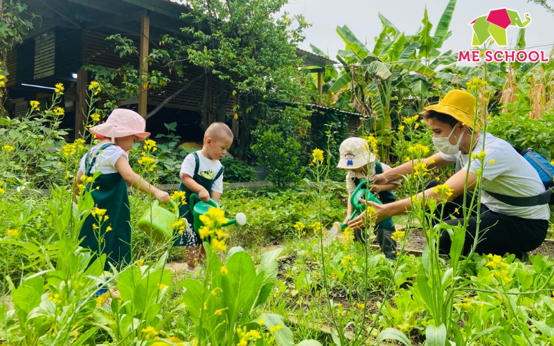 khám phá khoa học cho trẻ mầm non