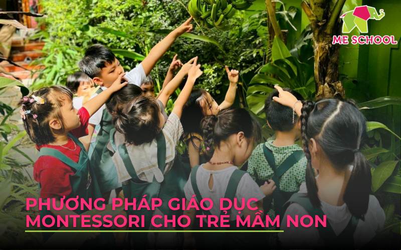 phương pháp giáo dục mầm non