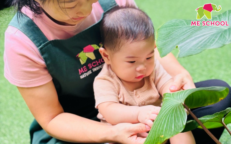 phương pháp giáo dục montessori