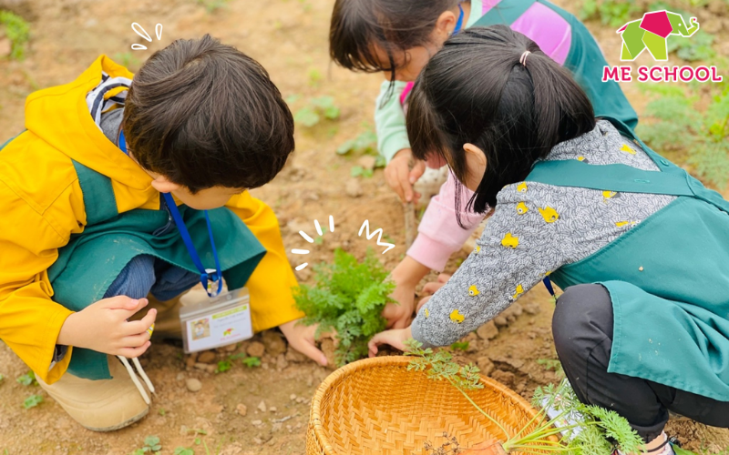 phương pháp giáo dục montessori