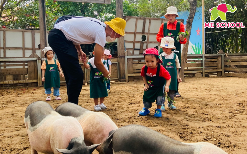 trò chơi vận động cho trẻ mầm non