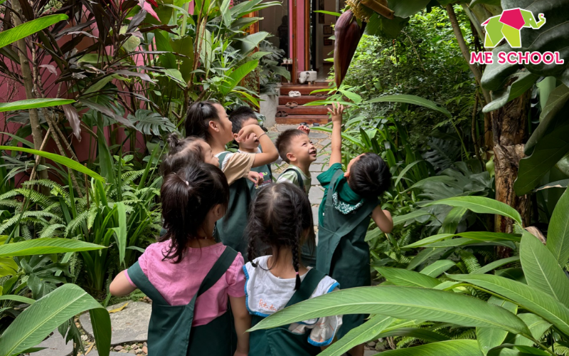 trường mầm non có sân chơi ngoài trời