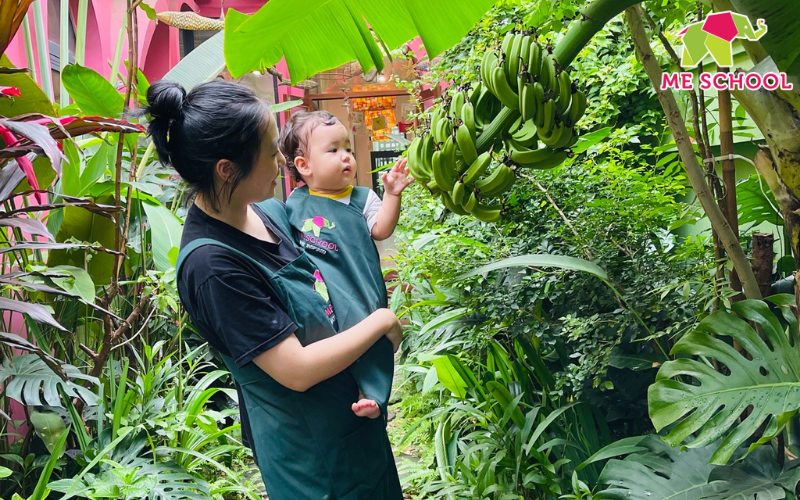 thuyết đa trí tuệ của howard gardner