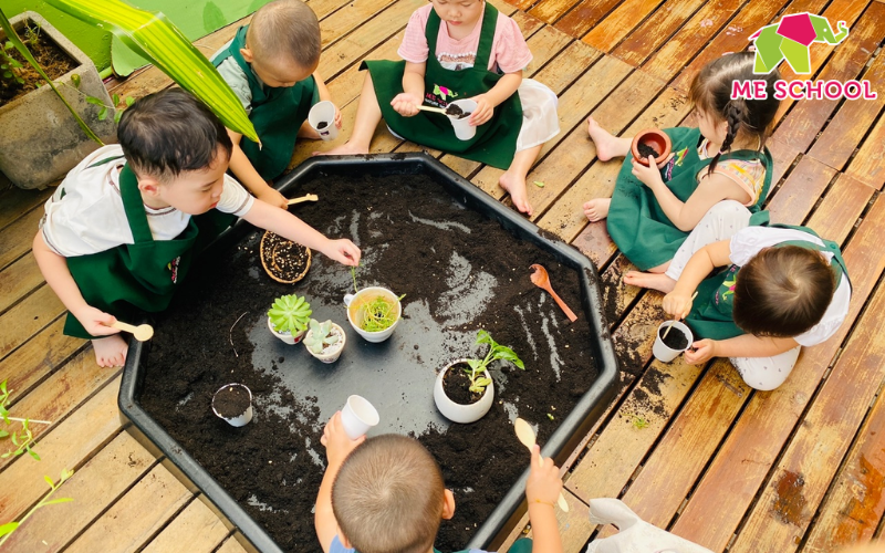 kỹ năng sống cho trẻ mầm non 5 tuổi