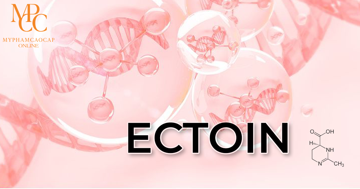 Ectoin Hoạt chất mới giúp phục hồi và bảo vệ da hiệu quả