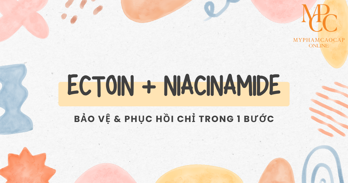Kem chống nắng tích hợp Ectoin và Niacinamide – Bảo vệ & phục hồi chỉ trong 1 bước