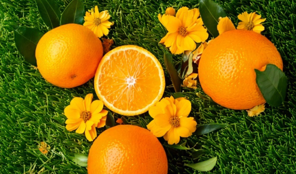 Bảo vệ thành mạch từ gốc, nuôi dưỡng hệ tuần hoàn bền vững