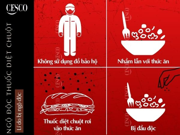 lí do ngộ độc thuốc diệt chuột là gì, vì sao bị ngộ độc thuốc diệt chuột