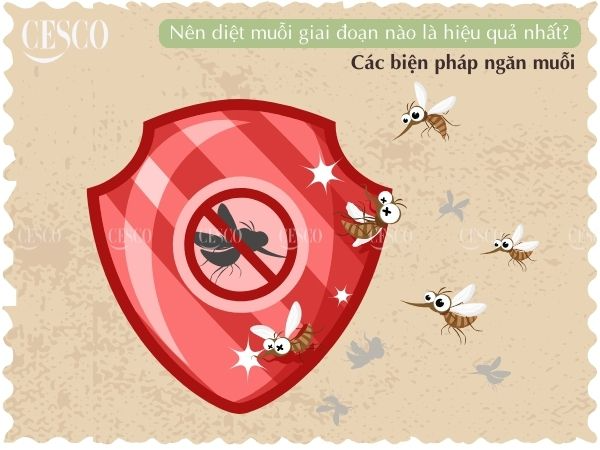nên diệt muỗi vào giai đoạn nào trong vòng đời của muỗi sẽ hiệu quả, tận gốc