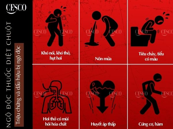 dấu hiệu, biểu hiện bị ngộ độc thuốc diệt chuột và làm sao để cấp cứu