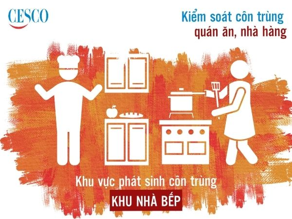 địa chỉ dịch vụ diệt côn trùng cho quán ăn, nhà hàng tận gốc, an toàn, giá rẻ
