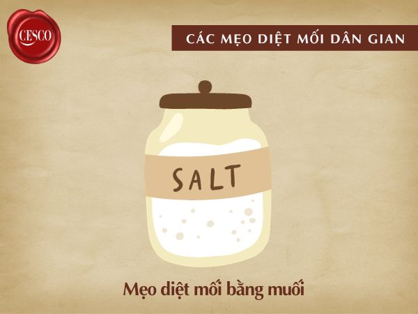 làm sao để diệt mối tại nhà an toàn , tận gốc, giá rẻ