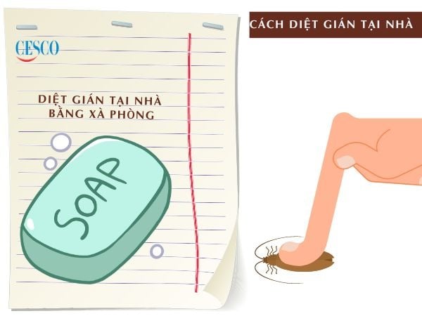 cách diệt gián tận gốc tại nhà đơn giản, không tốn tiền bằng xà phòng