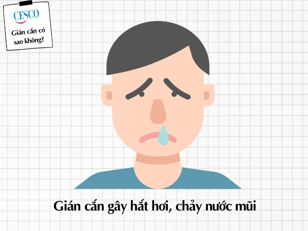 gián có cắn không, gián cắn có sao không, bị gián cắn gây sổ mũi, hắt hơi