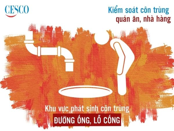 địa chỉ dịch vụ diệt côn trùng cho quán ăn, nhà hàng tận gốc, an toàn, giá rẻ
