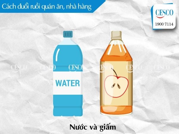 đuổi ruồi bằng nước và giấm, cách đuổi ruồi trong quán ăn hiệu quả nhanh chóng