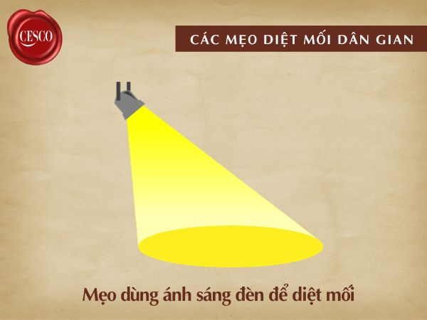 mẹo diệt mối bằng ánh sáng đèn cực kì hiệu quả, tận gốc không tốn tiền