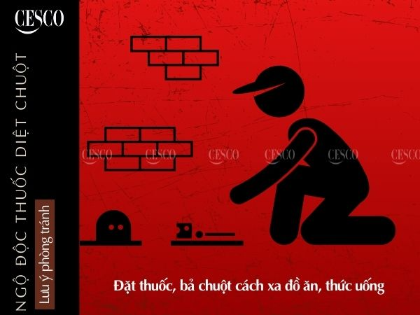 đặt thuốc, bả diệt chuột xa thức ăn, nước uống tránh bị ngộ độc thuốc diệt chuột