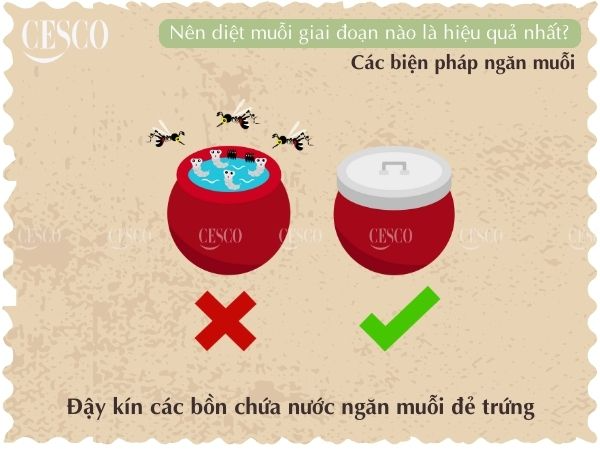 diệt muỗi giai đoạn nào hiệu quả nhất, đậy nước cẩn thận sẽ giúp tăng hiệu quả diệt muỗi