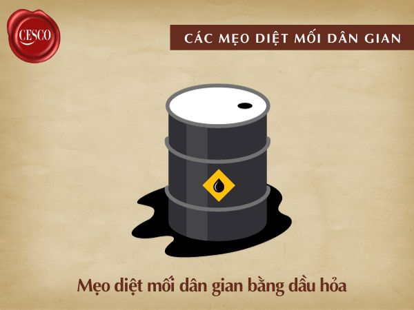 mẹo diệt mối bằng dầu hỏa có tác dụng không? diệt mối tại nhà bằng cách nào
