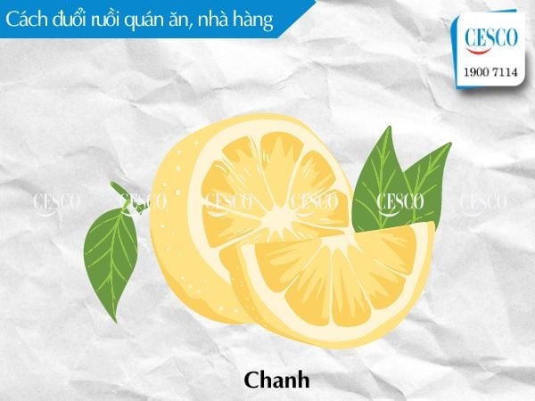 đuổi ruồi bằng chanh, cam, quýt cho nhà hàng, quán ăn có hiệu quả tận gốc không