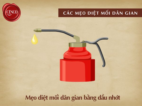 diệt mối bằng dầu nhớt có hiệu quả không và hướng dẫn cách thực hiện