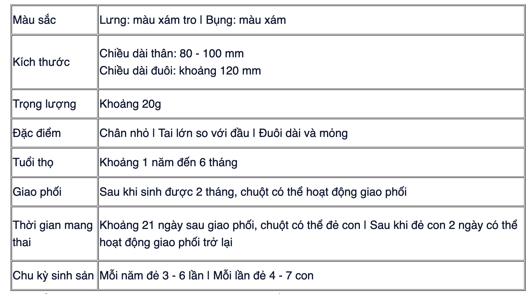 tổng kết về chuột nhắc