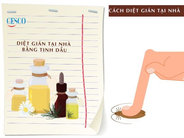 tinh dầu có là cách diệt gián với tỏi tận gốc tại nhà đơn giản, không tốn tiền, hiệu quả không