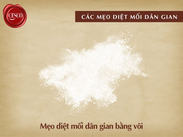 mẹo diệt mối bằng vôi như thế nào, cách diệt mối đơn giản tại nhà