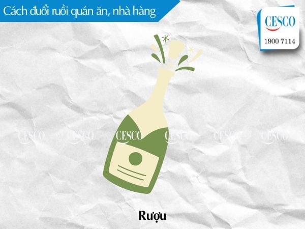 rượu có đuổi được ruồi không, cách thực hiện và hiệu quả như thế nào