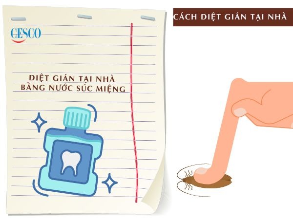 cách diệt gián tận gốc tại nhà với nước súc miệng đơn giản, không tốn tiền, hiệu quả nhanh chóng