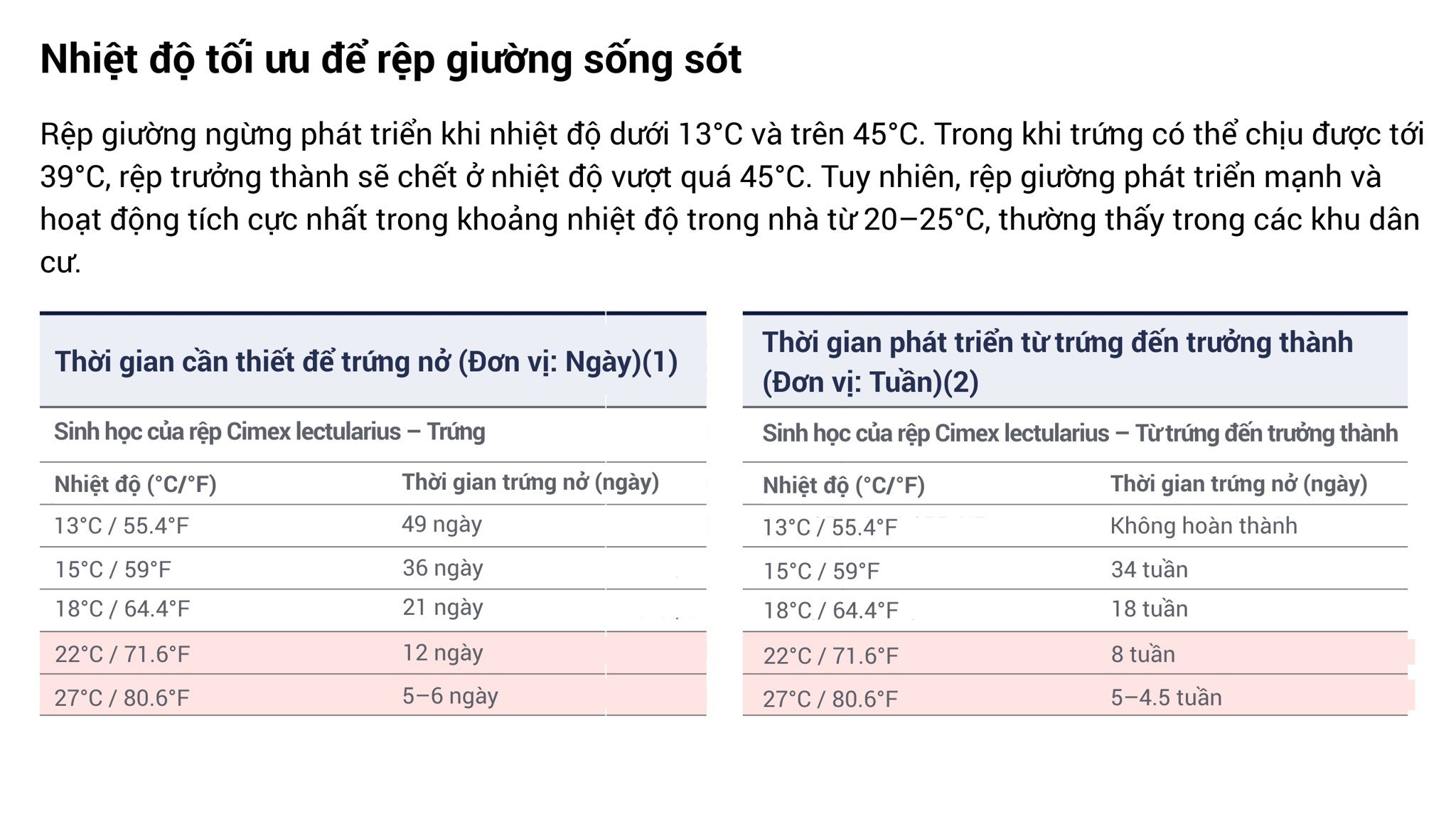 dich-vu-kiem-soat-rep-giuong-cesco-voi-nha-o