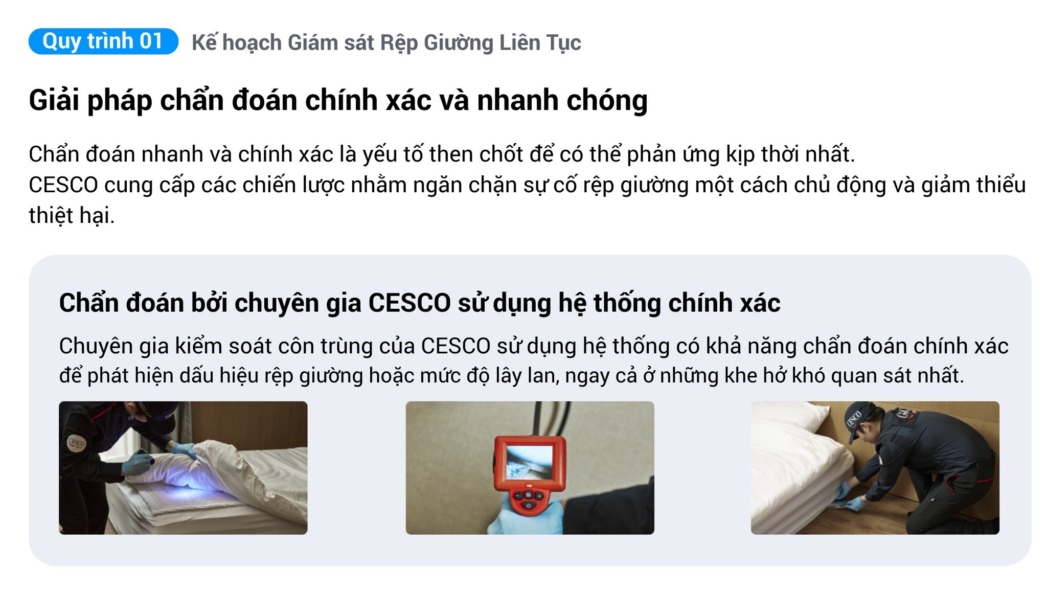dich-vu-kiem-soat-rep-giuong-cesco-chuyen-nghiep