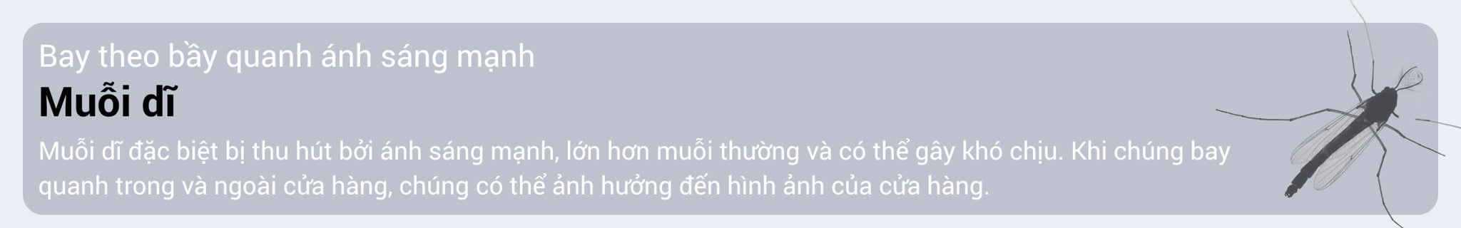 den-bat-con-trung-bay-cesco-hien-dai
