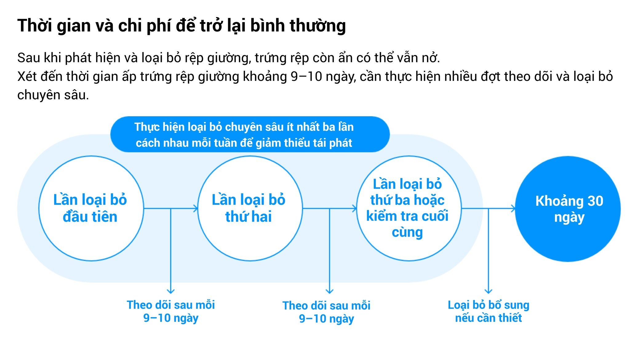 dich-vu-kiem-soat-rep-giuong-voi-co-so-luu-tru-cua-cesco-chuyen-nghiep