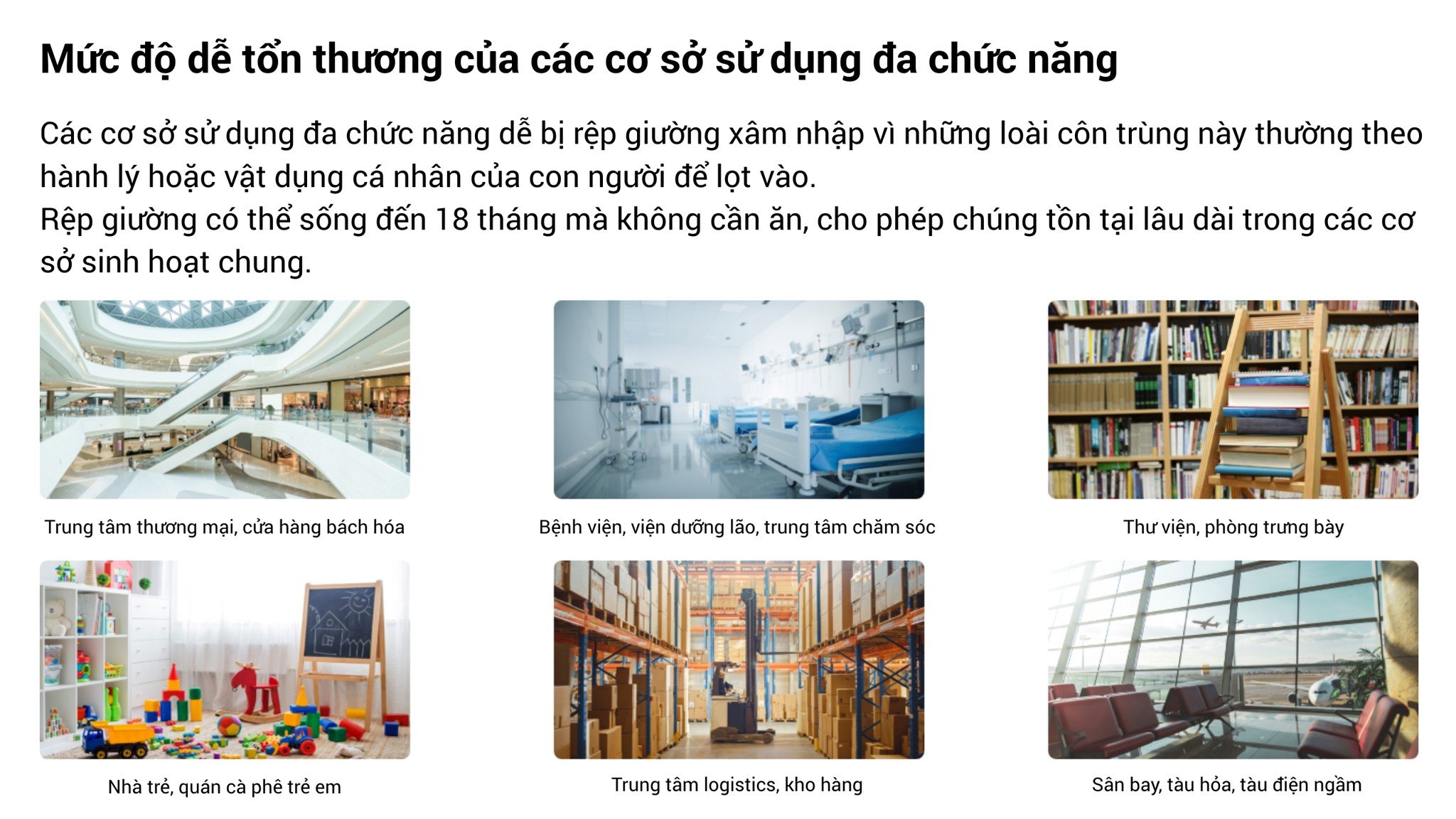 dich-vu-kiem-soat-rep-giuong-cesco-voi-co-so-sinh-hoat-chung