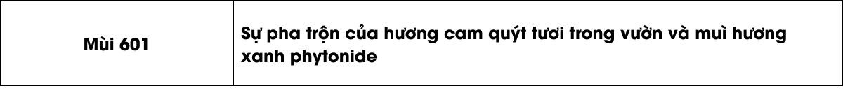 bảng các mùi hương thơm của máy khử mùi và phun tinh dầu cesco airgenic